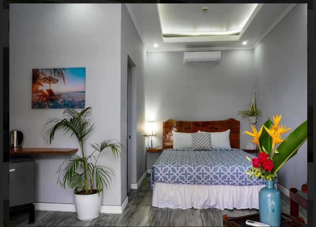 Hôtel Palm View Moalboal Extérieur photo